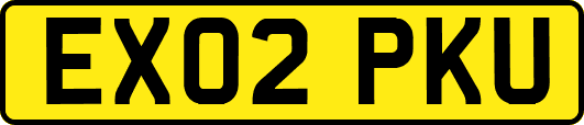 EX02PKU