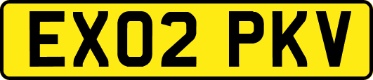 EX02PKV