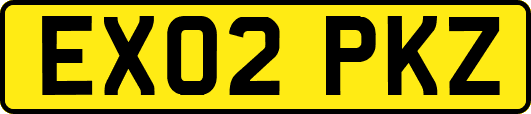 EX02PKZ