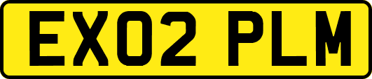 EX02PLM