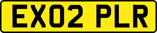 EX02PLR