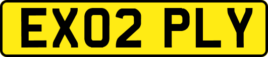 EX02PLY