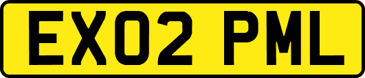 EX02PML