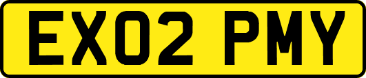 EX02PMY