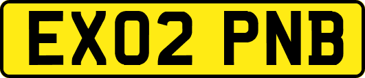 EX02PNB