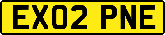 EX02PNE