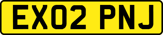 EX02PNJ