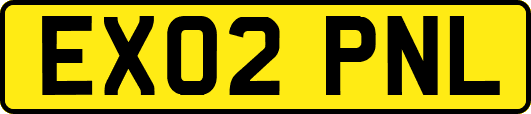 EX02PNL