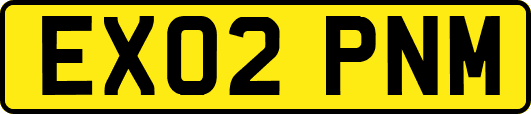 EX02PNM