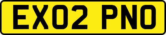 EX02PNO