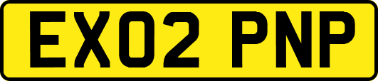 EX02PNP