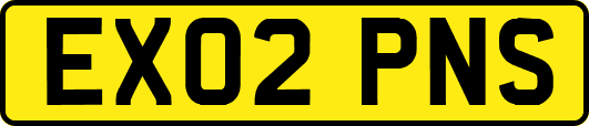 EX02PNS