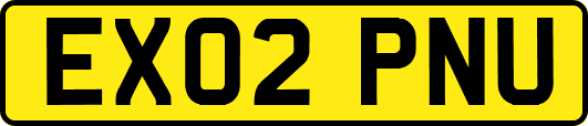 EX02PNU