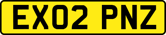 EX02PNZ
