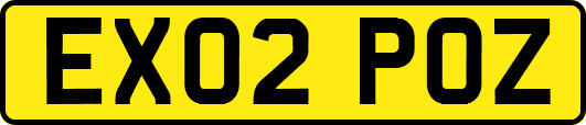 EX02POZ