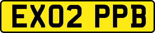 EX02PPB