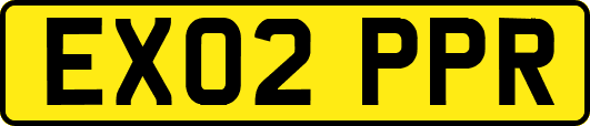 EX02PPR