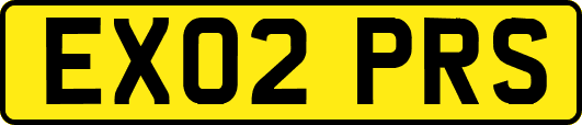 EX02PRS