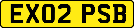 EX02PSB