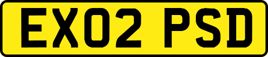 EX02PSD