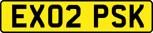 EX02PSK