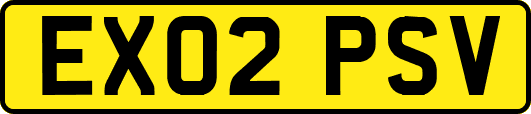 EX02PSV