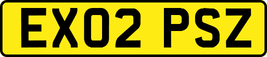 EX02PSZ