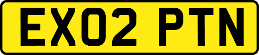 EX02PTN