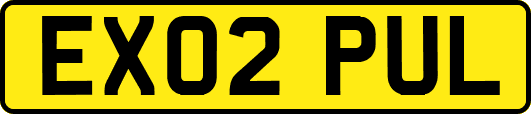 EX02PUL