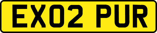 EX02PUR
