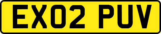 EX02PUV