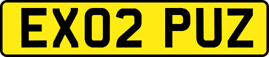 EX02PUZ