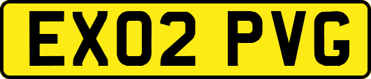 EX02PVG