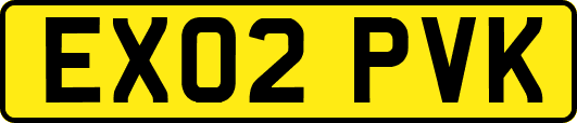 EX02PVK