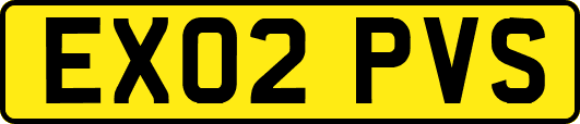 EX02PVS