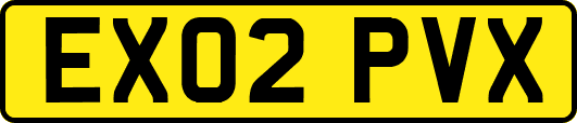EX02PVX