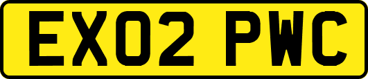 EX02PWC