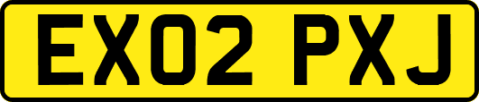 EX02PXJ