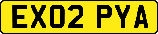 EX02PYA