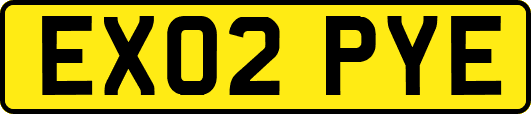 EX02PYE