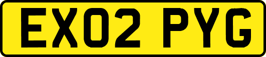 EX02PYG