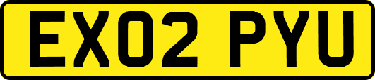 EX02PYU