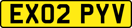 EX02PYV