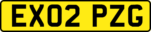 EX02PZG