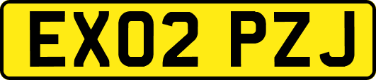 EX02PZJ