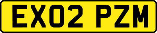 EX02PZM