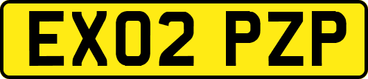 EX02PZP