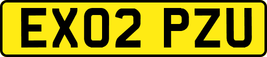 EX02PZU