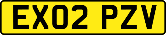 EX02PZV