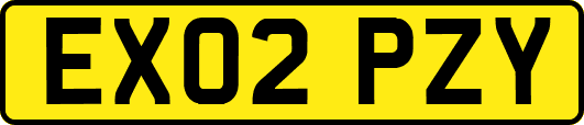 EX02PZY